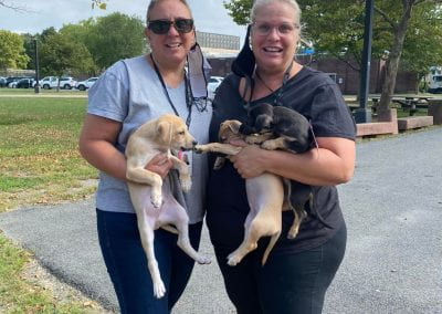 Two people hold three puppies.